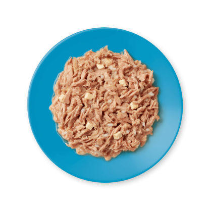 tuna cheese photo