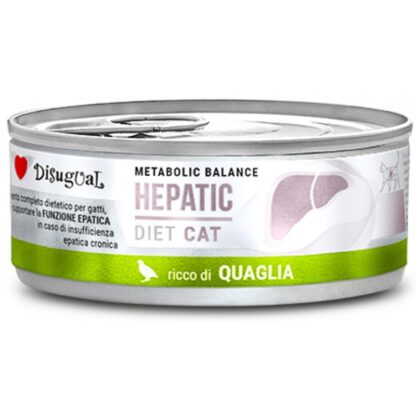 hepatic konserva gatas disigual ortyki