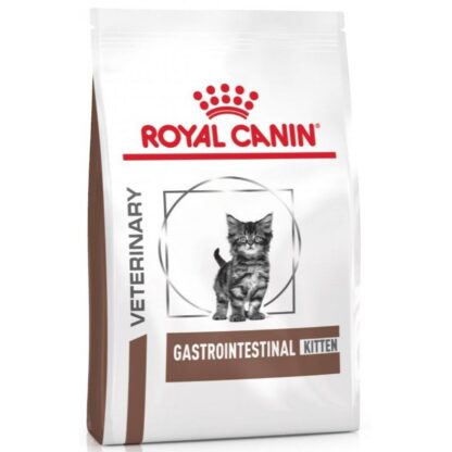 gastrointestinal kitten